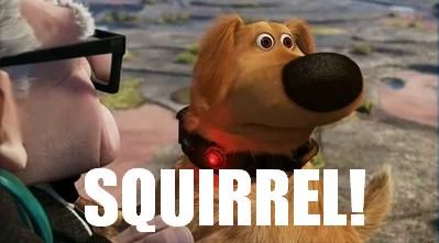 Trích xuất giá trị fr- SQUIRREL!