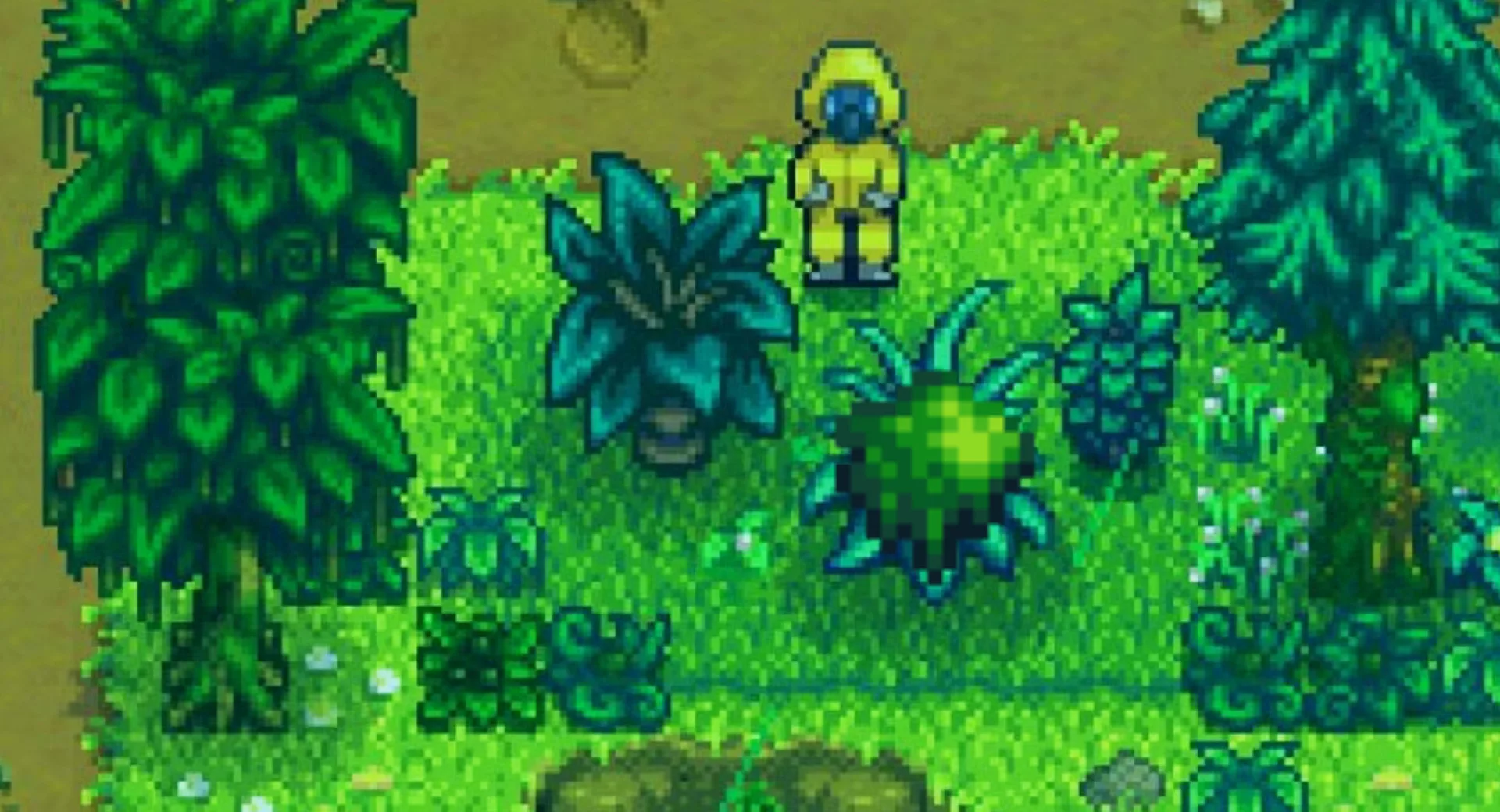 星露穀物語1.6：種植苔蘚的最佳方式